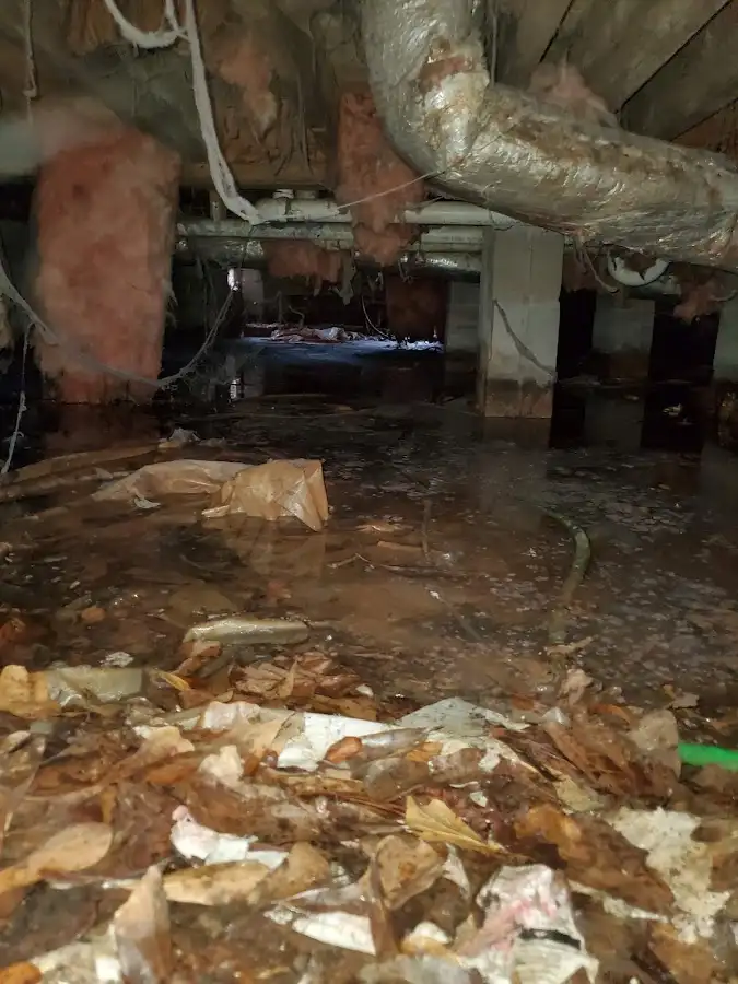 Crawl space flood assessment for Commercial Water Damage Restoration in Waimalu